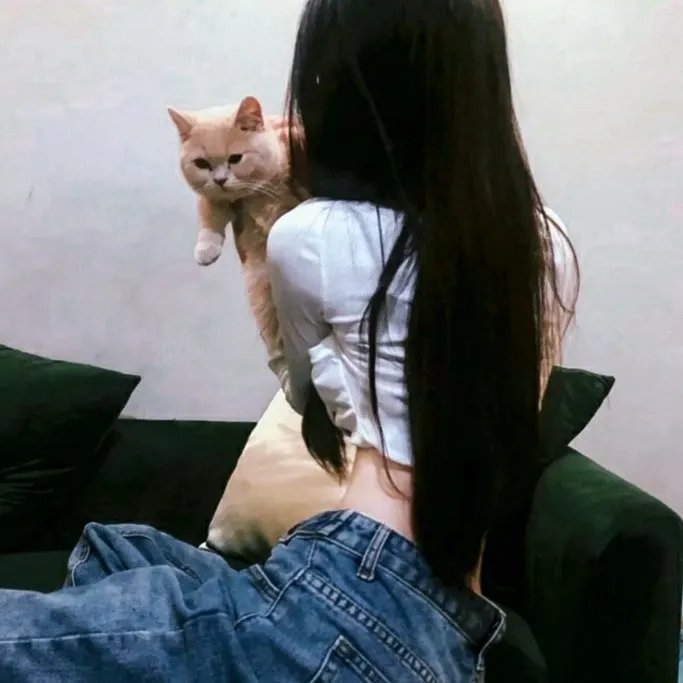 婚头转向