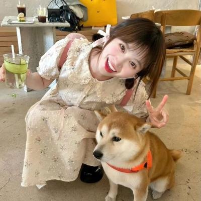 桐籽花开